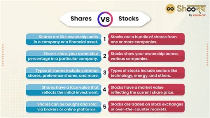 What is difference share and stock?