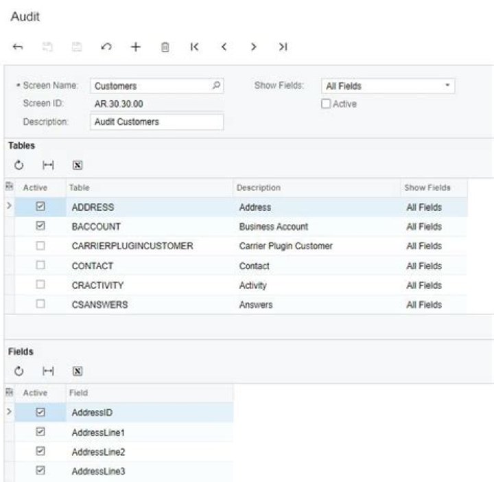 What is field level auditing?