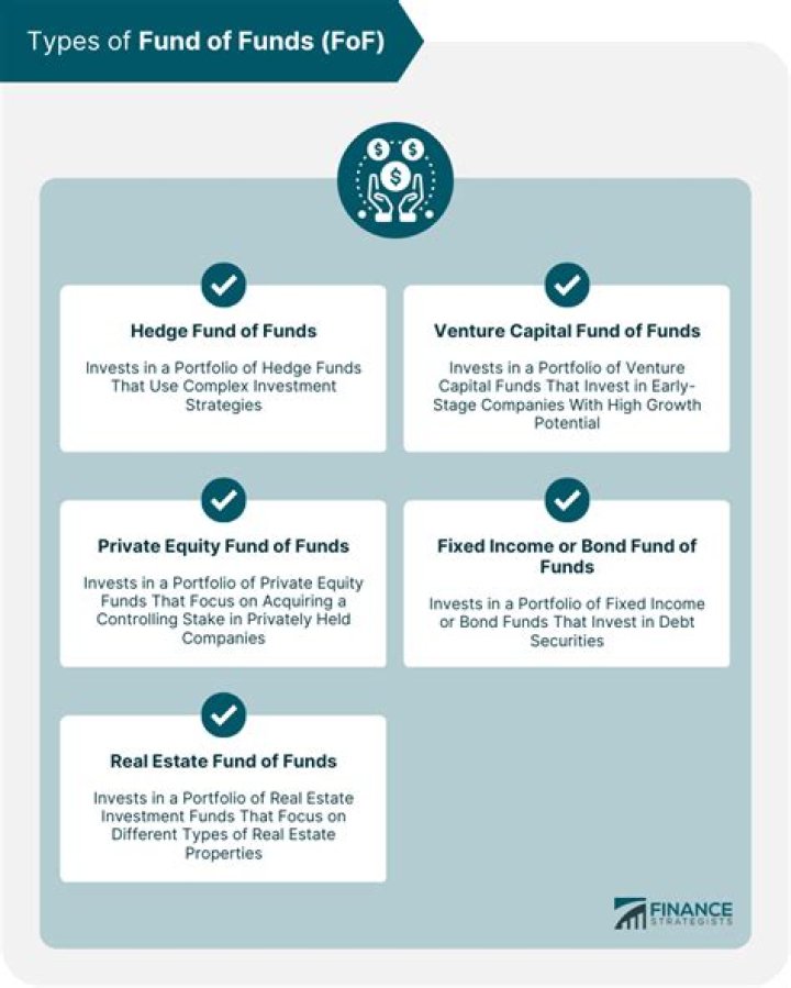 What is fund of funds with example?