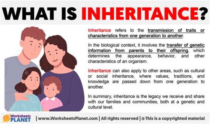 What is inherit and example?