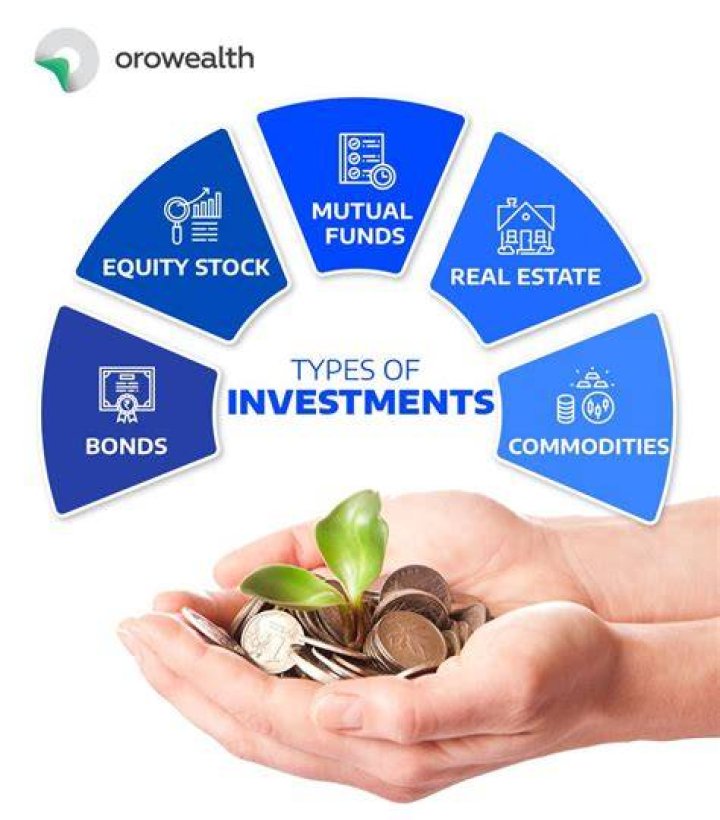 What is investment What are the features of a good investment Programme?