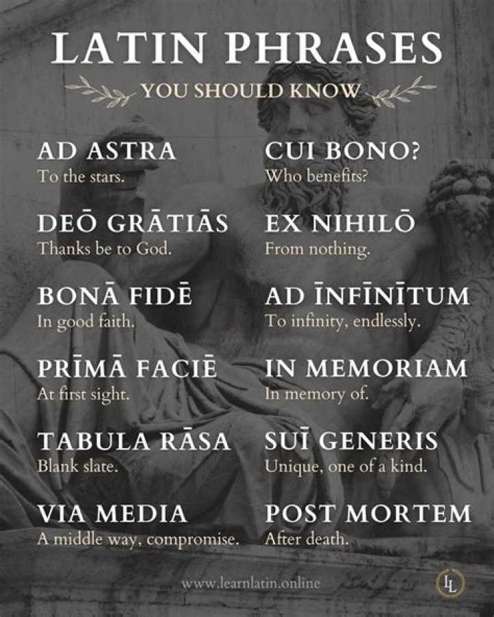 What is multi in Latin?