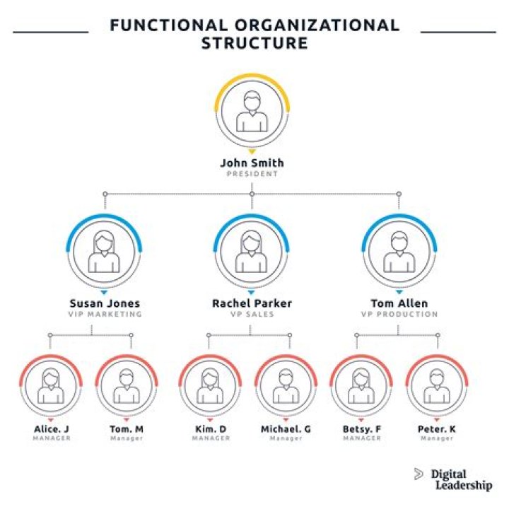 What is my professional organization?