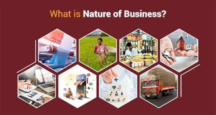 What is nature of business in hotel?