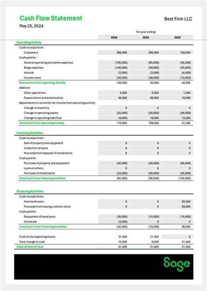 What is net borrowings on cash flow statement?