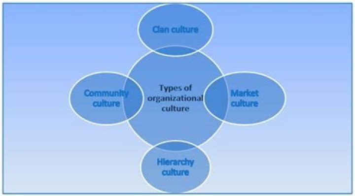 What is Organisational culture and why should we care?
