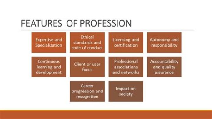 What is profession and features of profession?