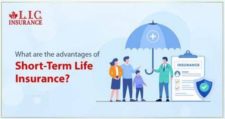 What is short life insurance?
