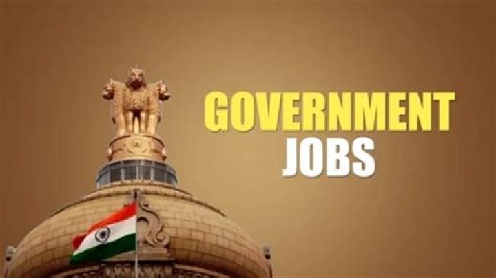 What is the advantage of government job?