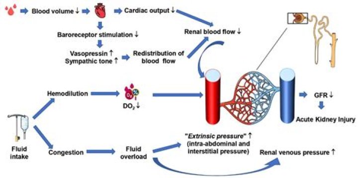What is the cause of BD?