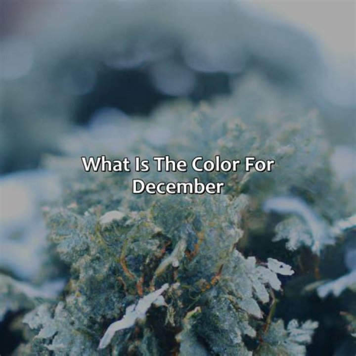 What is the color for December 31?