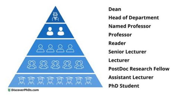 What is the highest professor title?