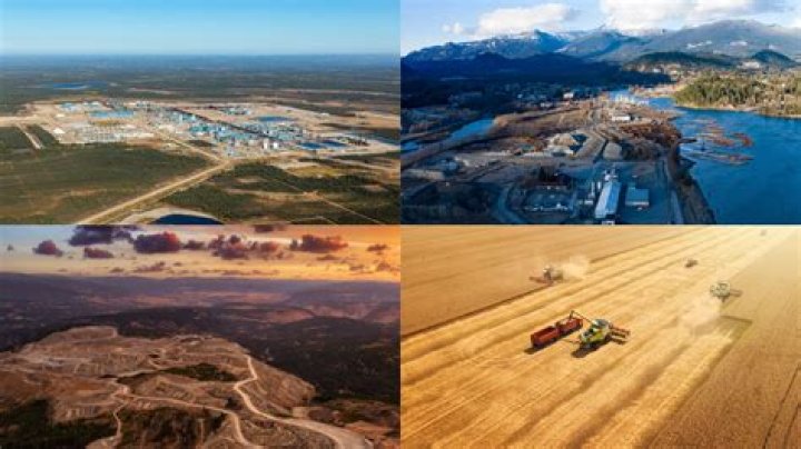 What is the largest natural resource industry in New Brunswick?
