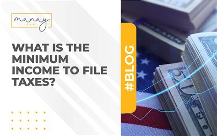 What is the minimum business income to file taxes?
