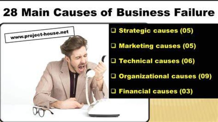 What is the most dominant cause of business failure?