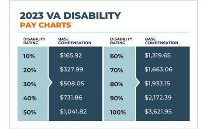What is the pay rate for 100 VA disability?