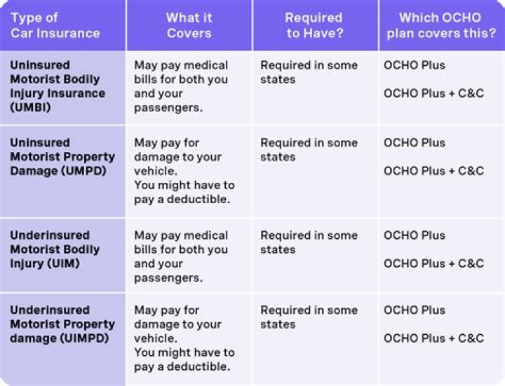 What is the required insurance coverage you must have?