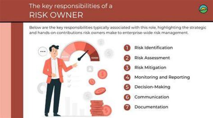 What is the risk owner responsible for?