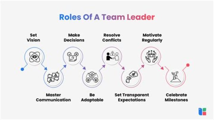 What is the role of a contributor?