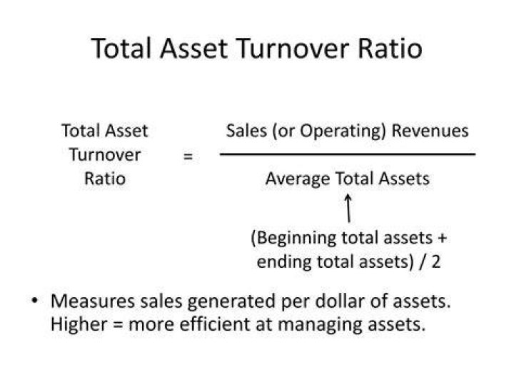 What is the total asset turnover?