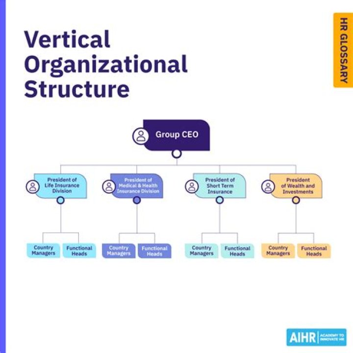 What is vertical organizational structure by example?