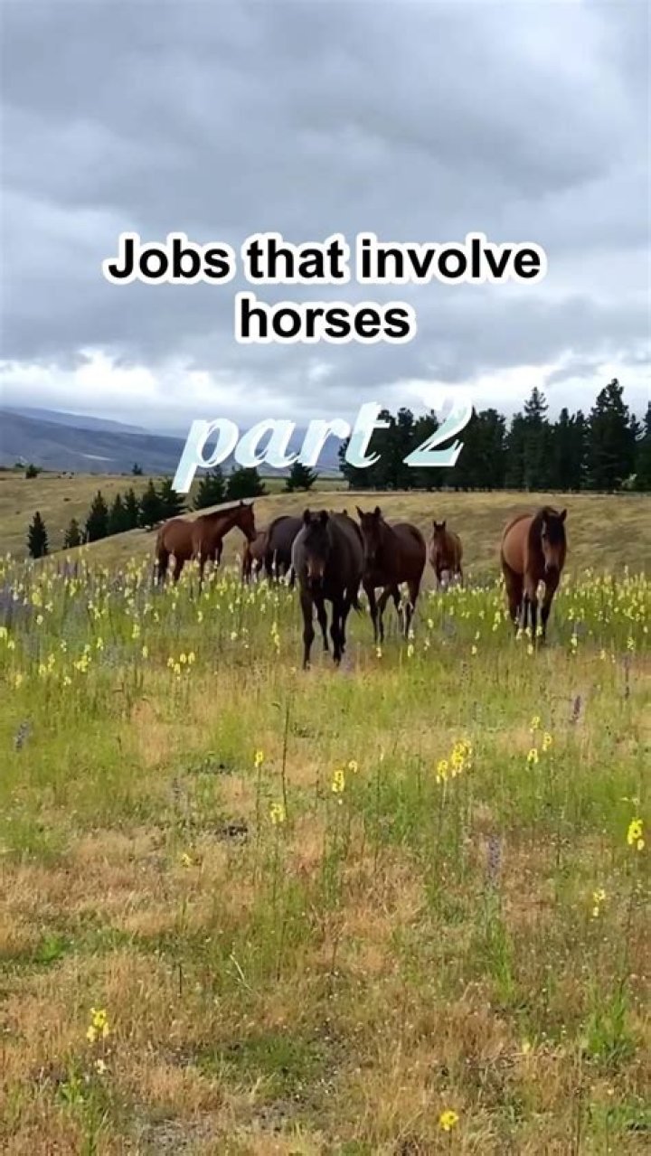 What jobs are there that involve horses?