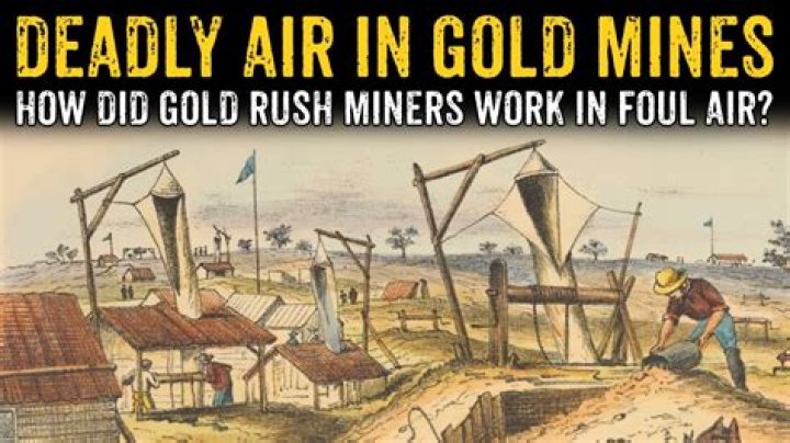 What kind of work did gold miners do?