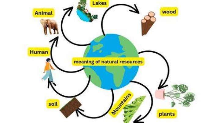 What natural resources does the US export?