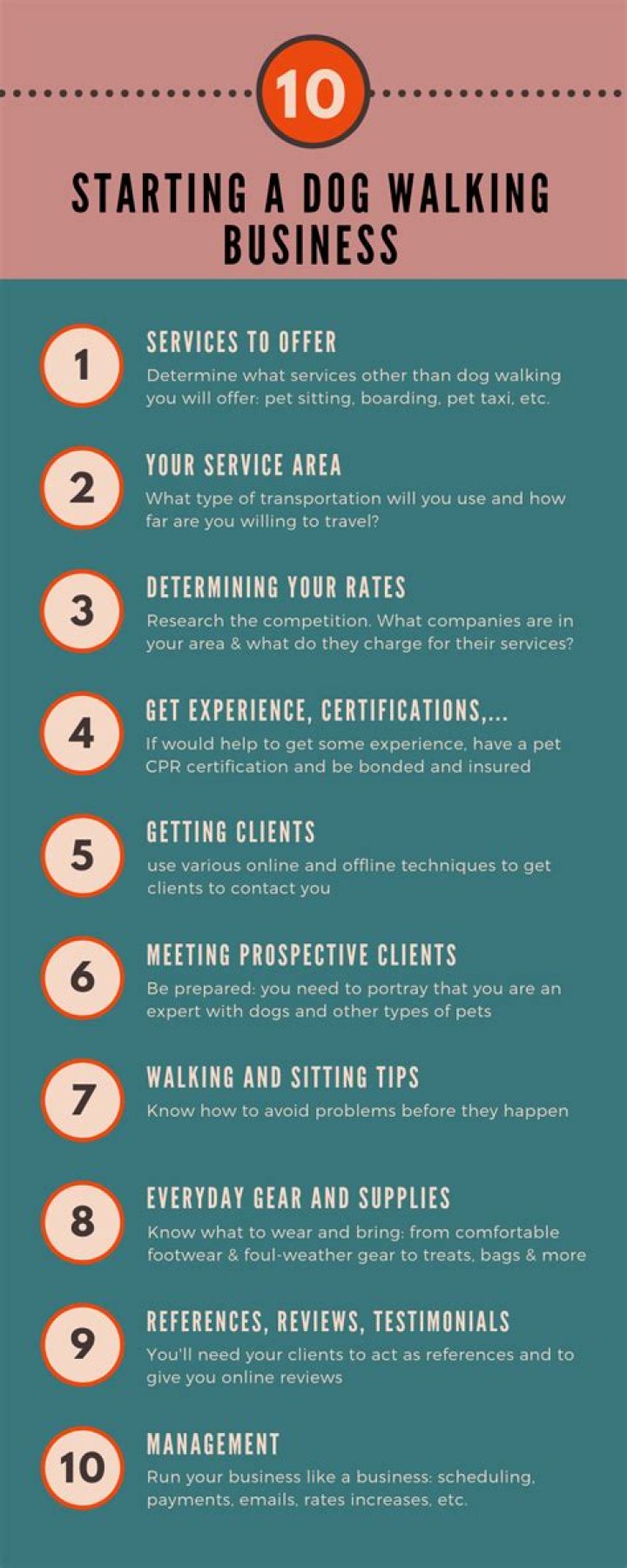 What qualifications do I need to start dog walking?