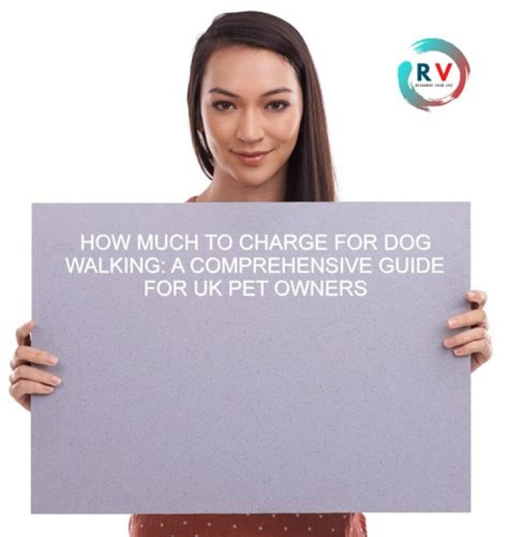 What qualifications do you need for dog walking?
