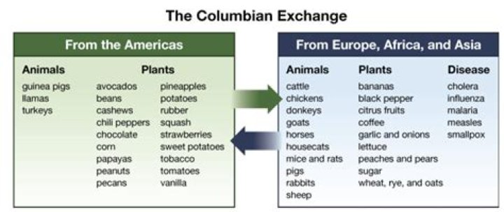 What role did slavery play in the Columbian Exchange?