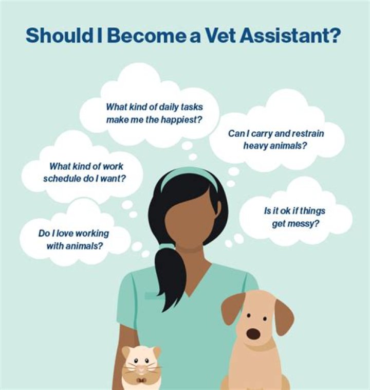 What schooling do you need to be a vet assistant?