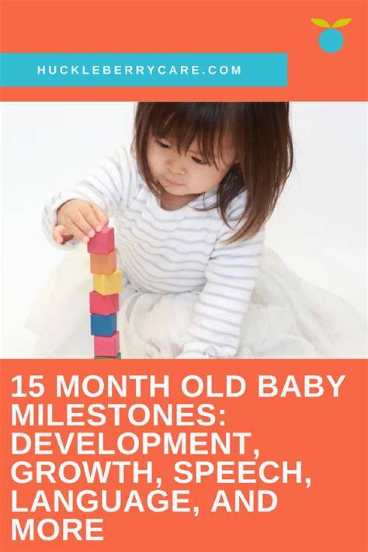 What should a 15 month old be able to do?