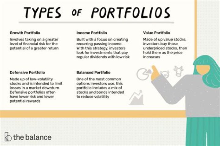 What should be included in a business portfolio?