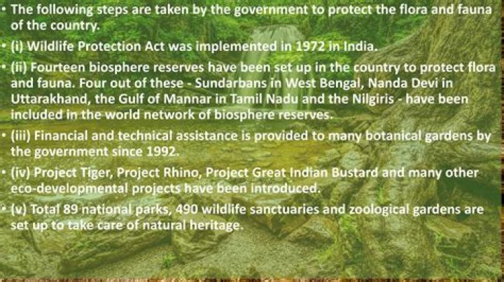 What steps are taken by the government to promote tourism?