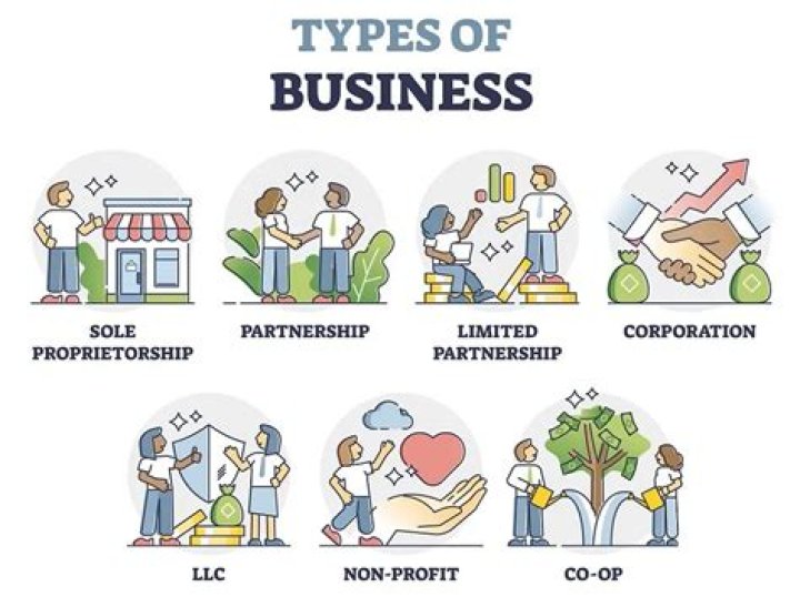 What type of business organization is owned by a single individual?