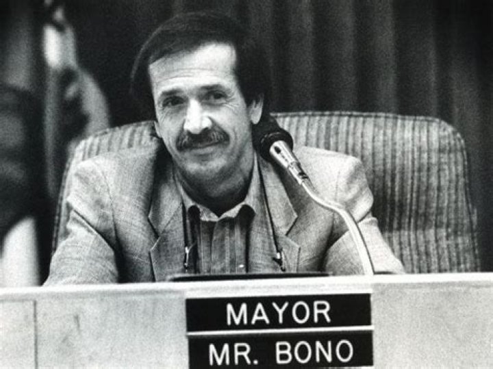 What was Sonny Bono political career?
