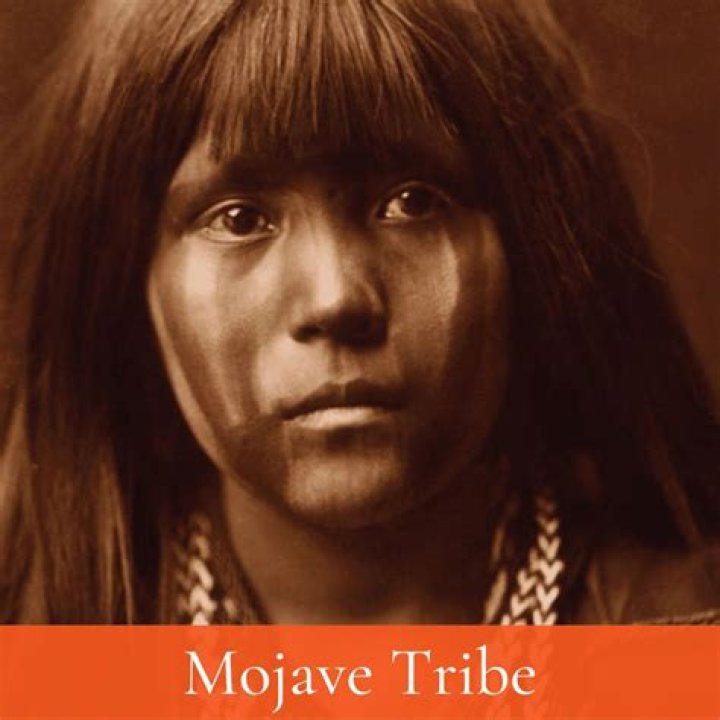 What was the Mojave tribe culture?