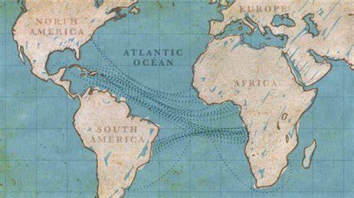 What were some of the results of the slave trade?