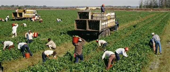 What were the working conditions for immigrants in America?