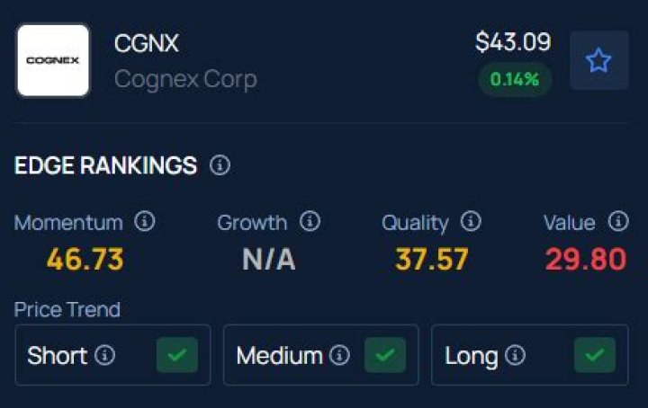 When did Cognex go public?