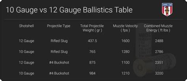 When was the 12 gauge invented?