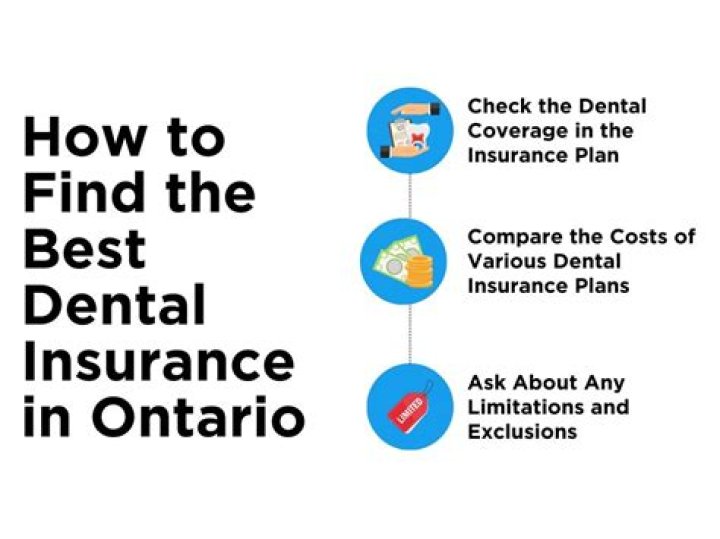 Where can I find the best dental insurance?