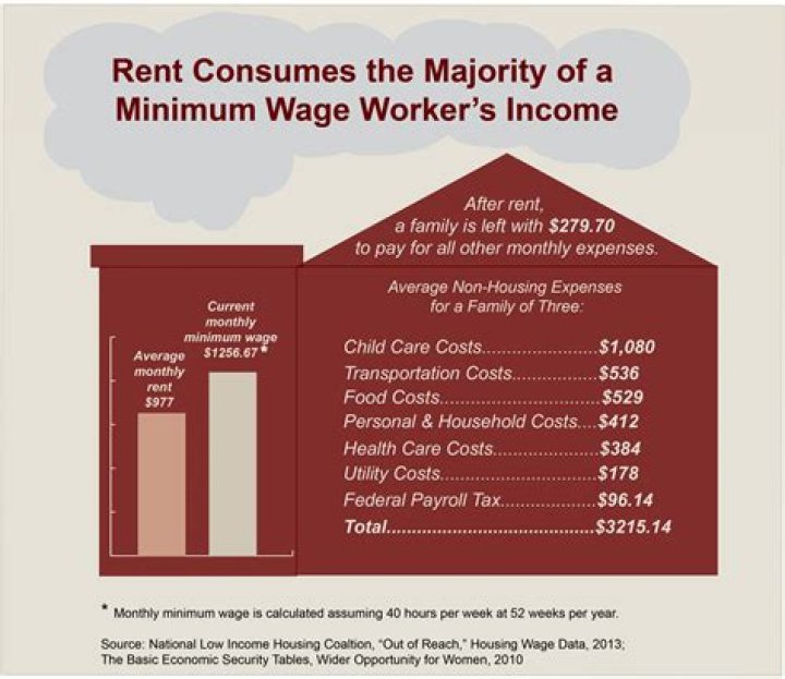 Where minimum wages are to be fixed by notification method the notice must be published by the appropriate government?