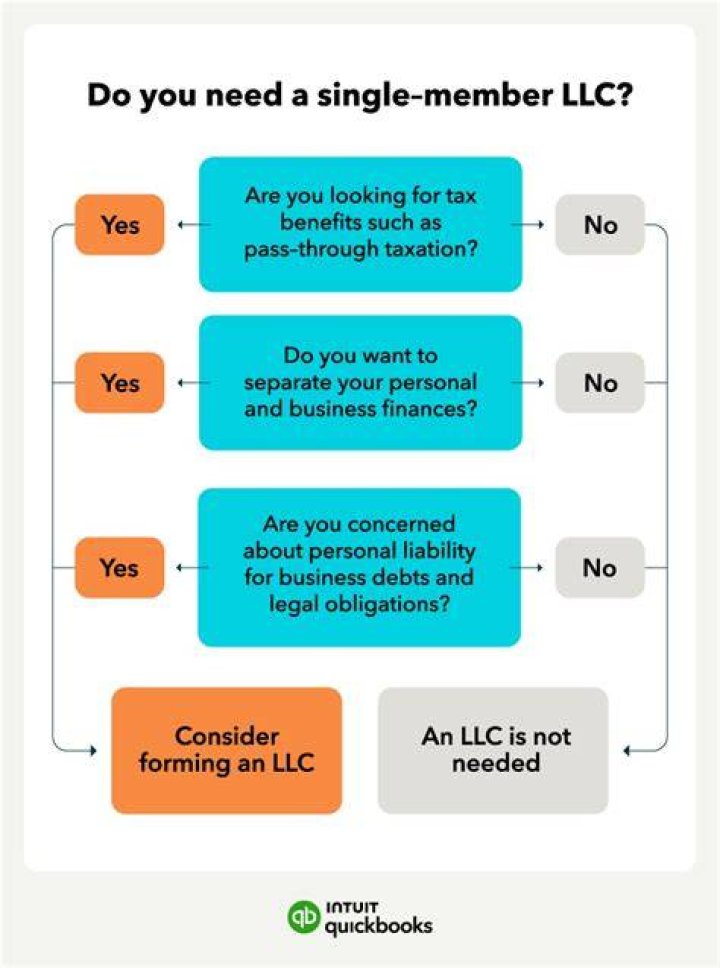 Where to find single member limited liability company?