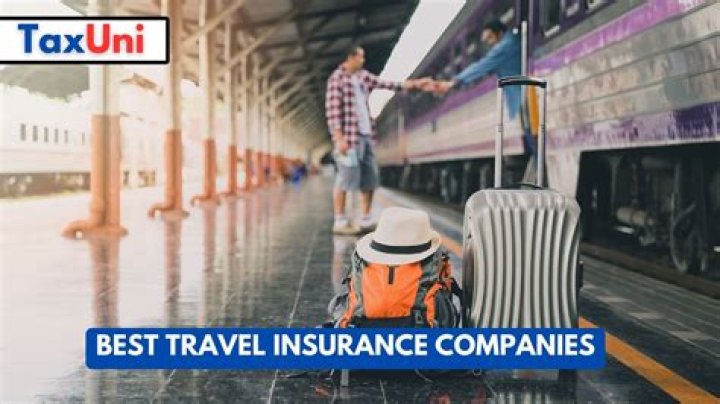 Which company is best for travel insurance?