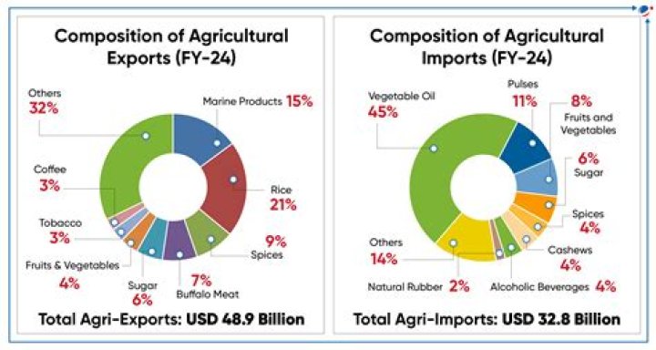 Which country exports the most turkey?