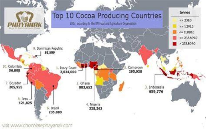 Which country has the largest cocoa?
