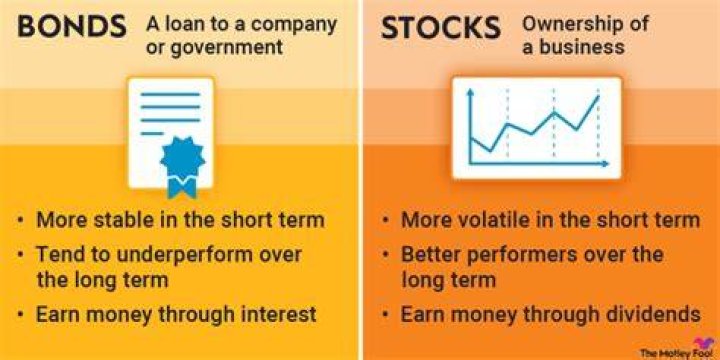 Which is best bond or stock?
