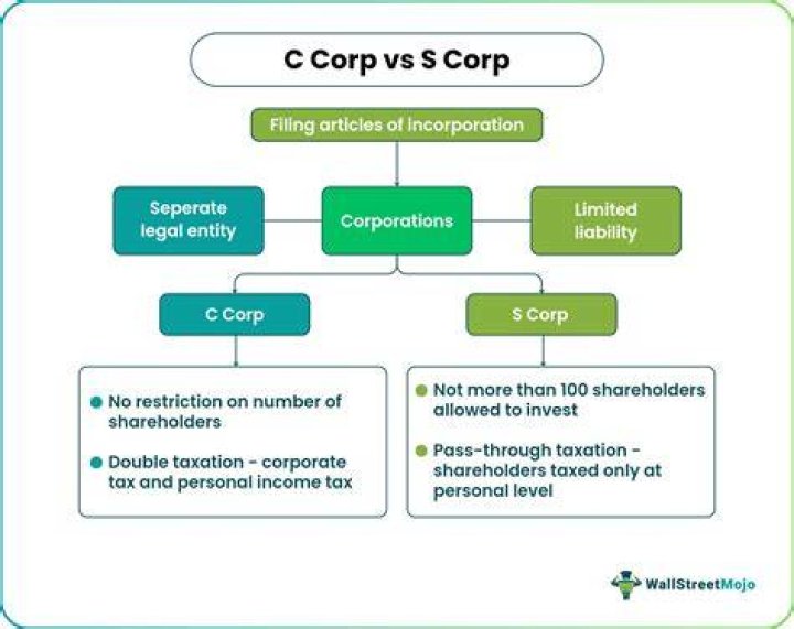 Who can be a shareholder in an S corporation and who Cannot?